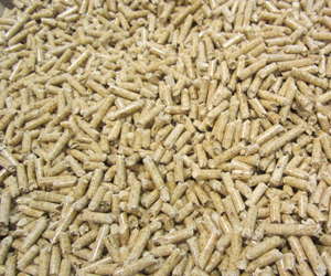 conseils d achat sur le bois de chauffage en granules pellets